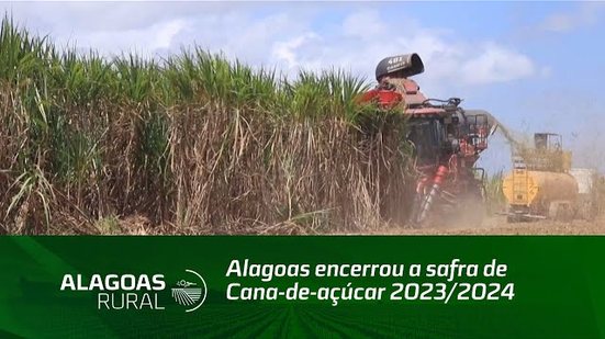 Alagoas encerrou a safra de Cana-de-açúcar 2023/2024