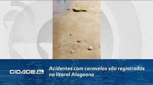 Acidentes com caravelas são registrados no litoral Alagoano