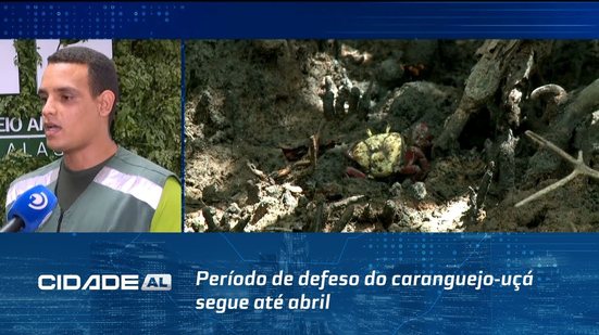 Captura proibida: Período de defeso do caranguejo-uçá segue até abril