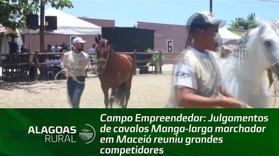 Campo Empreendedor: Julgamentos de cavalos Manga-larga em Maceió reuniu grandes competidores