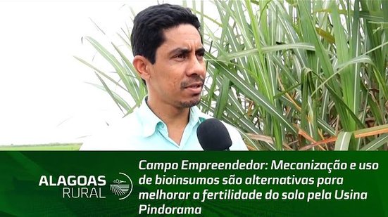 Mecanização e uso de bioinsumos são alternativas para melhorar a fertilidade do solo