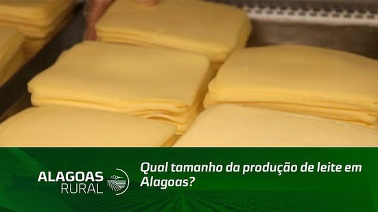 Qual tamanho da produção de leite em Alagoas?