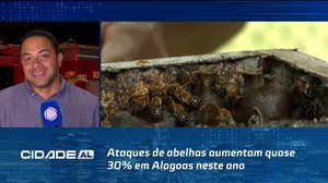 Ataques de abelhas aumentam quase 30% em Alagoas neste ano