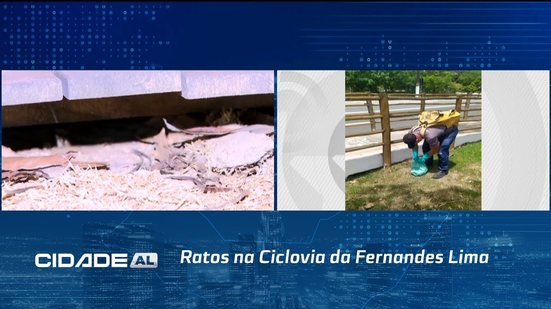 Ratos na Ciclovia da Fernandes Lima: Secretaria de Saúde agiu após denúncia