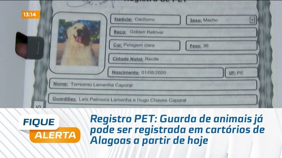 Registro PET: Guarda de animais já pode ser registrada em cartórios de Alagoas a partir de hoje