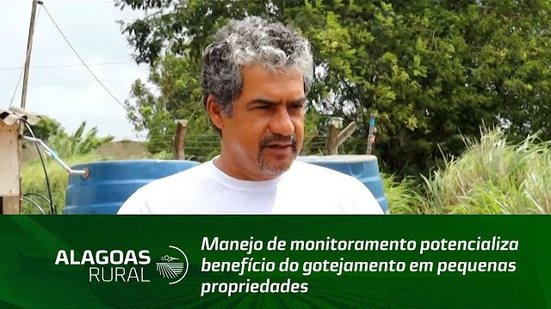 Manejo de monitoramento potencializa benefício do gotejamento em pequenas propriedades