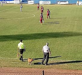 Divulgação / 2 de Mayo