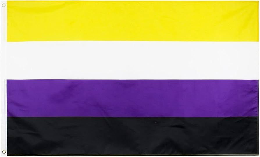 TABANA Bandeira não binária Progress Pride LGBT LGBTQ Rainbow Flags Banner  resistente a UV e desbotamento com 2 argolas para ambientes internos e  externos | Amazon.com.br