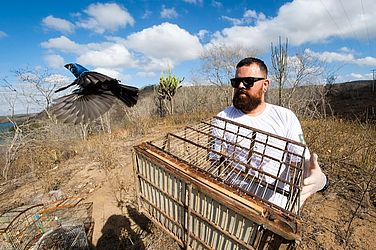 Ao todo, foram 323 aves e 20 jabutis devolvidos à caatinga