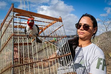 Ao todo, foram 323 aves e 20 jabutis devolvidos à caatinga