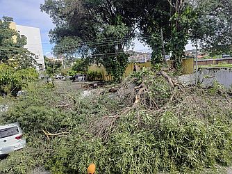 Divulgação / Corpo de Bombeiros