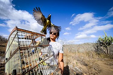 Ao todo, foram 323 aves e 20 jabutis devolvidos à caatinga