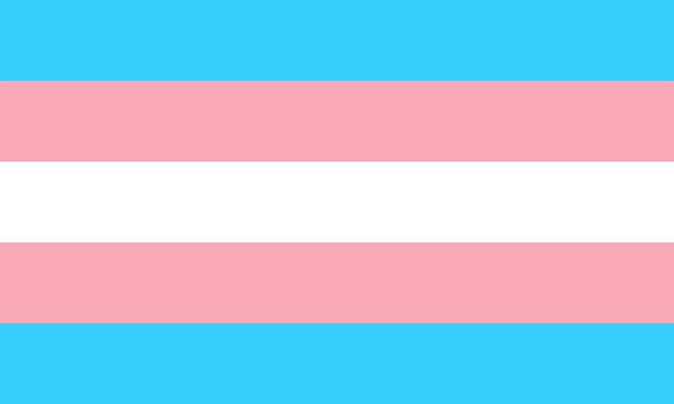 Trans Transgender Bandeira - Imagens grátis no Pixabay - Pixabay