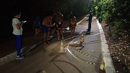 Jiboia devorou iguana no Parque Cesamar, em Palmas