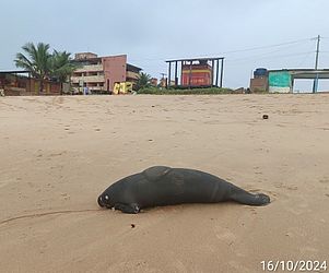 Divulgação / Biota