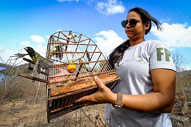 Ao todo, foram 323 aves e 20 jabutis devolvidos à caatinga